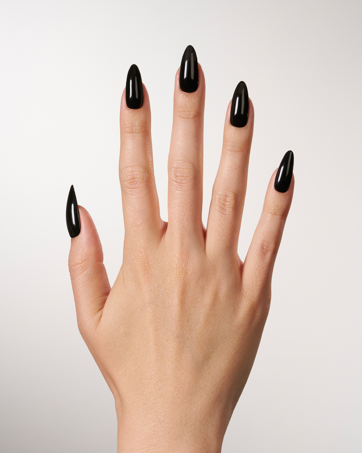 Shellac 1
